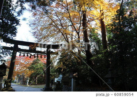 宮城県塩竈市 鹽竈神社 鳥居 宮城県塩竈市 鹽竈神社 鳥居 60859054
