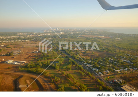 ダーウィン ダーウィン 60860187