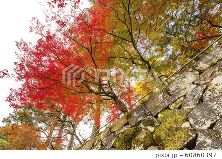 亀山城跡　丹波亀山城　明智光秀ゆかりの地　麒麟がくる　京都観光スポット 60860397