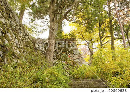 亀山城跡　丹波亀山城　明智光秀ゆかりの地　麒麟がくる　京都観光スポット 60860628