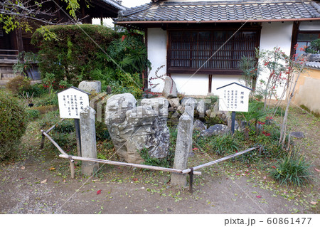 奈良　橘寺・阿字池と三光石 60861477