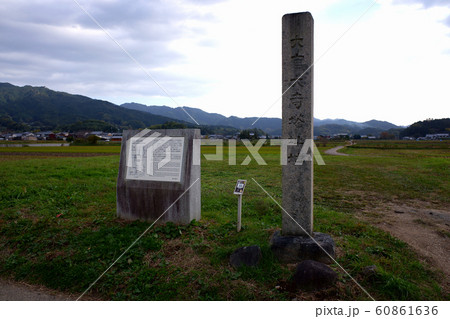 奈良　大官大寺塔址地 60861636