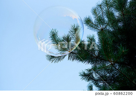 one alone transparent soap bubble on blue sky minimal with tree 60862200