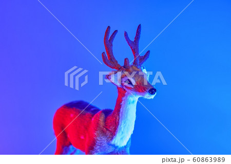 Modern conceptual art deer with shadow in duotone red and blue lights Modern conceptual art deer with shadow in duotone red and blue lights 60863989