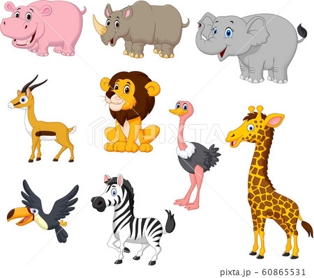 Cartoon wild animals collection set Cartoon wild animals collection set 60865531