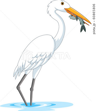Cartoon stork eating a fish 60865806