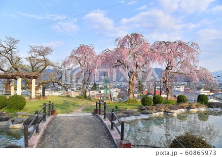山形県上山市　月岡公園とかみのやま温泉の街並み　桜 60865973