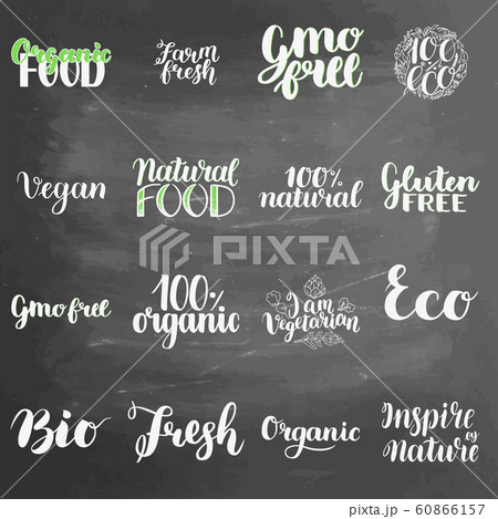 Eco concept lettering set on chalkboard background. Blackboard lettering writing handwritten text,  illustration. Logo for healthy eat bar, restaurant, shops and printing and digital products 60866157