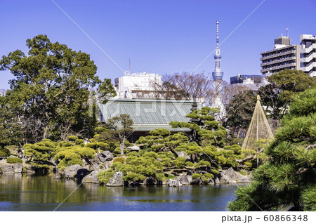 (東京都)清澄庭園 スカイツリー (東京都)清澄庭園 スカイツリー 60866348