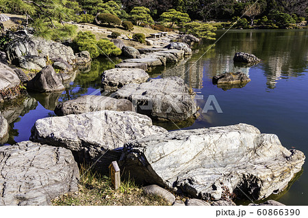 (東京都)清澄庭園 飛び石 (東京都)清澄庭園 飛び石 60866390