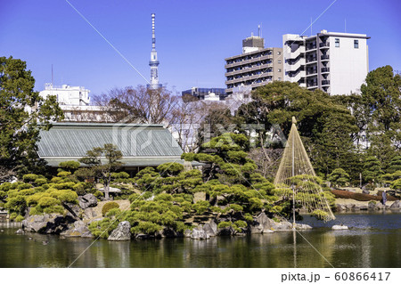 (東京都)清澄庭園 スカイツリー (東京都)清澄庭園 スカイツリー 60866417