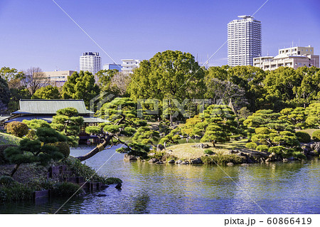 （東京都）清澄庭園 60866419