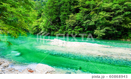 伊奈川渓谷 （夏） 60868943