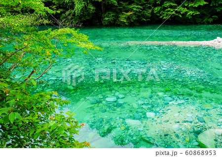 伊奈川渓谷 （夏） 60868953