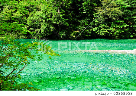 伊奈川渓谷 （夏） 60868958