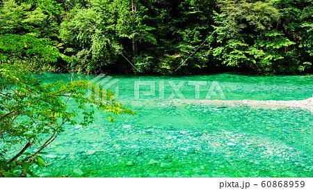 伊奈川渓谷 （夏） 60868959