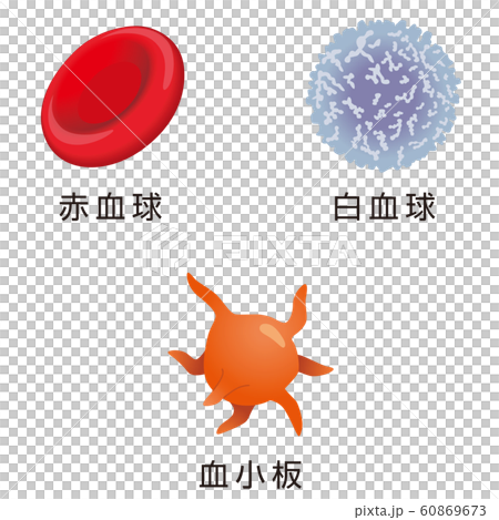 Red blood cells white blood cells platelets Red blood cells white blood cells platelets 60869673