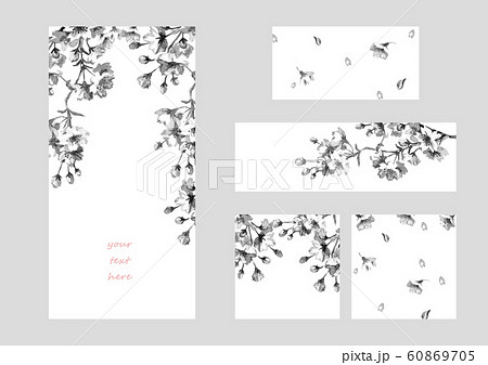 桜フレーム バナー 白黒のイラスト素材