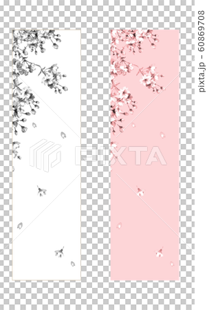 櫻花盛開 60869708