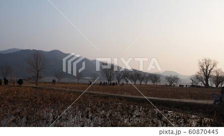 冬 ヅムルモリ ヤンスリ 60870445