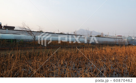 冬 ヅムルモリ ヤンスリ 60870462