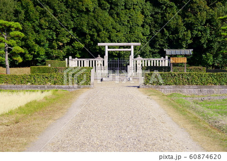 佐紀高塚古墳(考謙天皇・称徳天皇)8 佐紀高塚古墳(考謙天皇・称徳天皇)8 60874620