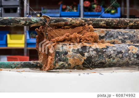 resistance of the boiler is under the lime 60874992