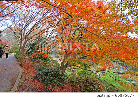 白野江植物公園 白野江植物公園 60875677