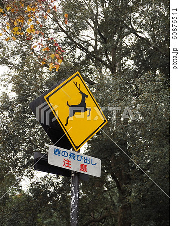 奈良公園の「鹿の飛び出し注意」の標識	 60876541
