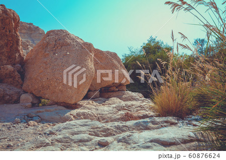 Hiking path in the nature reserve Ein Gedi, Israel. Oasis in the desert 60876624
