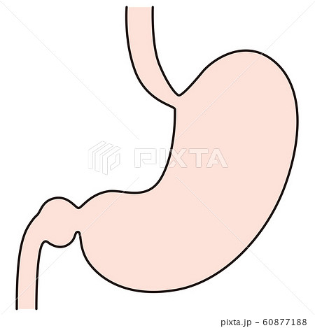 胃　医療 60877188