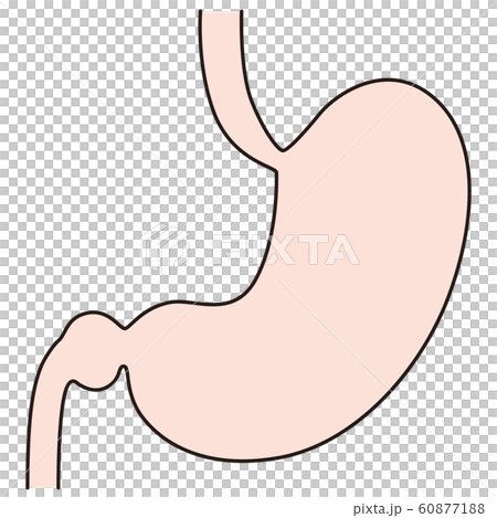 胃　医療 60877188