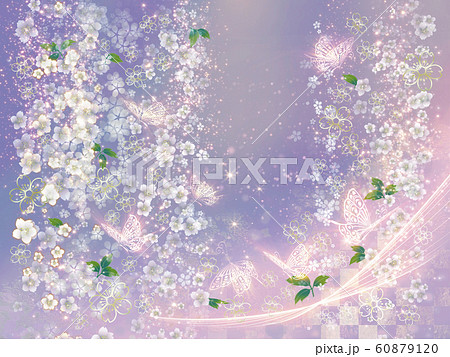 春の桜と蝶 和風 薄紫のイラスト素材