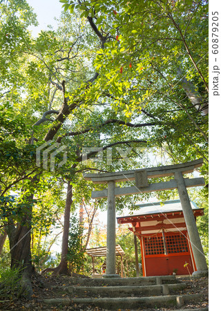 古江稲荷神社 60879205