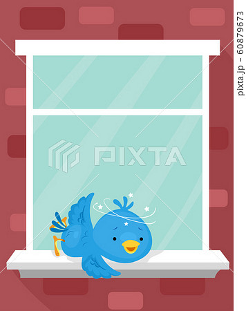 Bird Window Glass Collision Explain Illustration 60879673