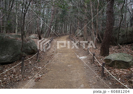 節 寺院 彫刻公園 60881204