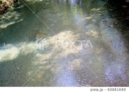 綺麗な水 綺麗な水 60881689