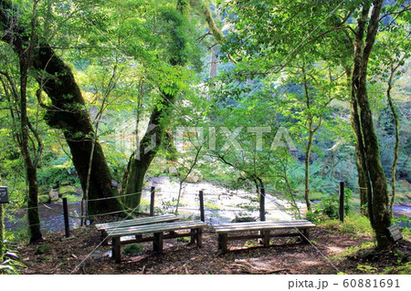 菊池渓谷 菊池渓谷 60881691