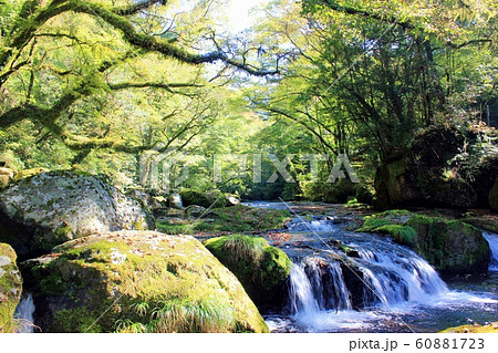 菊池渓谷 60881723