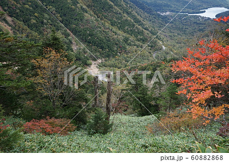 金精峠の登山道付近から見た湯ノ湖方面 金精峠の登山道付近から見た湯ノ湖方面 60882868
