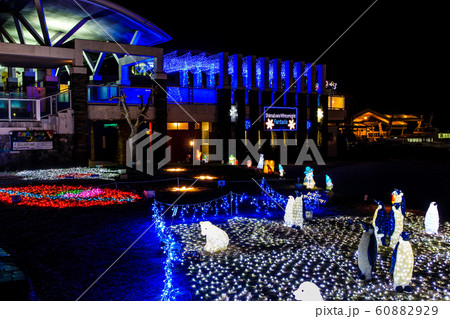 島原ウィンターナイト・ファンタジア 【長崎県島原市】 島原ウィンターナイト・ファンタジア 【長崎県島原市】 60882929