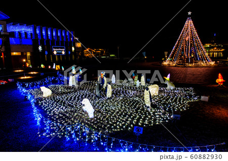 島原ウィンターナイト・ファンタジア　【長崎県島原市】 60882930
