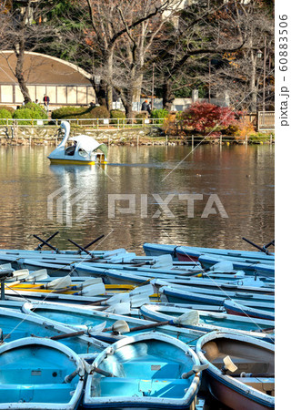 東京都武蔵野市の井の頭恩賜公園 60883506
