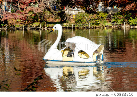 井の頭恩賜公園 井の頭恩賜公園 60883510