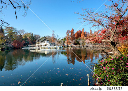 井の頭恩賜公園 井の頭恩賜公園 60883524