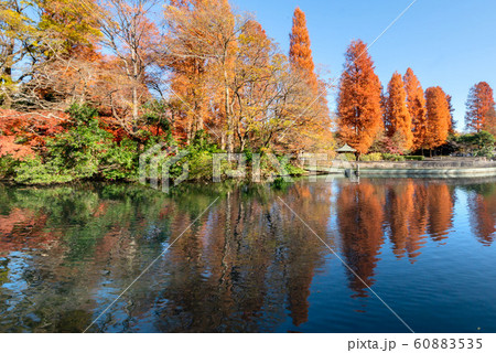 井の頭恩賜公園 60883535