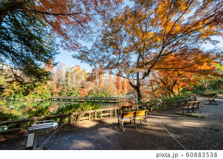 井の頭恩賜公園 井の頭恩賜公園 60883538