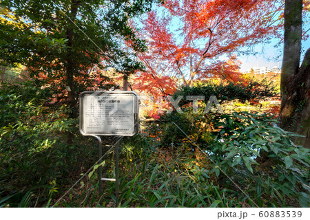 井の頭恩賜公園 井の頭恩賜公園 60883539