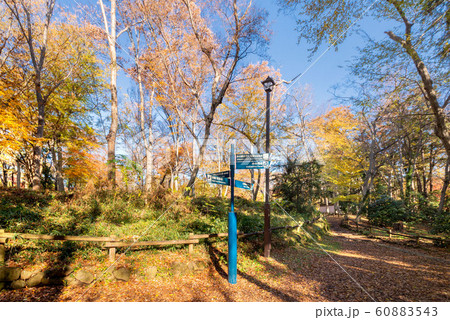 井の頭恩賜公園 井の頭恩賜公園 60883543