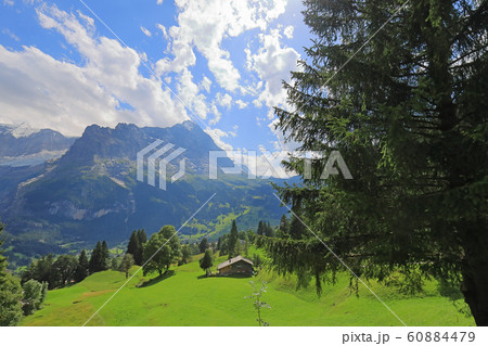 スイスの山風景 スイスの山風景 60884479
